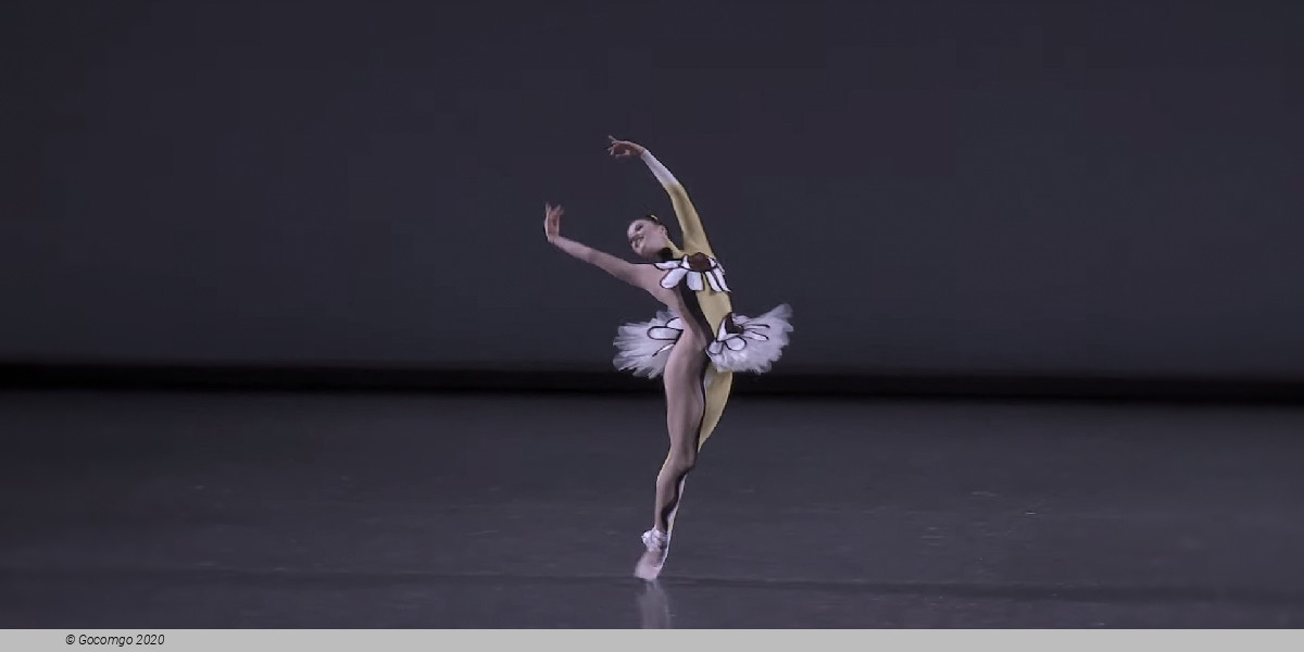 Scene 4 from the ballet "Pulcinella Variations", photo 4