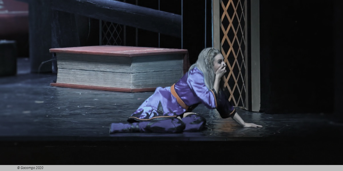 Scene 9 from the musical "Into the Woods", photo 9