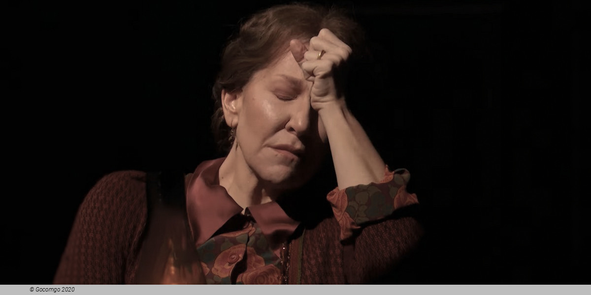 Scene 9 from the opera "The Hours", photo 9