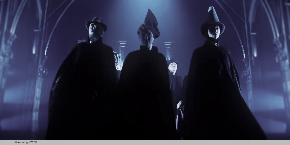 Scene 4 from the show "Harry Potter and the Cursed Child", photo 4