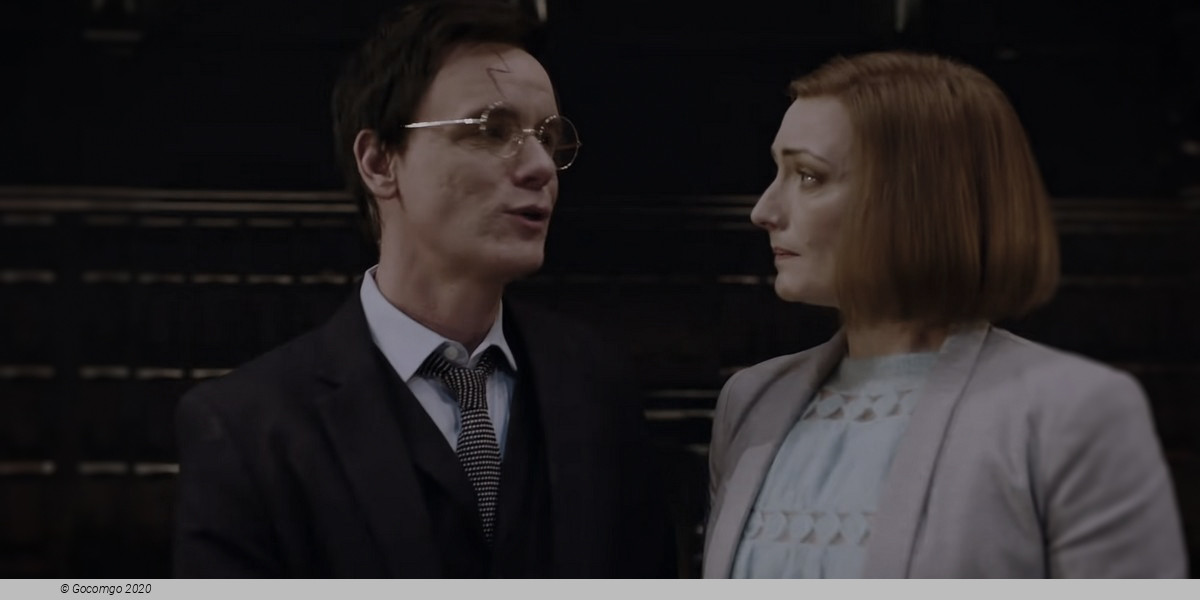 Scene 8 from the show "Harry Potter and the Cursed Child", photo 8