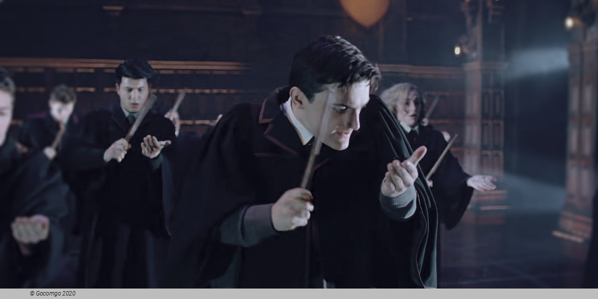 Scene 9 from the show "Harry Potter and the Cursed Child", photo 9