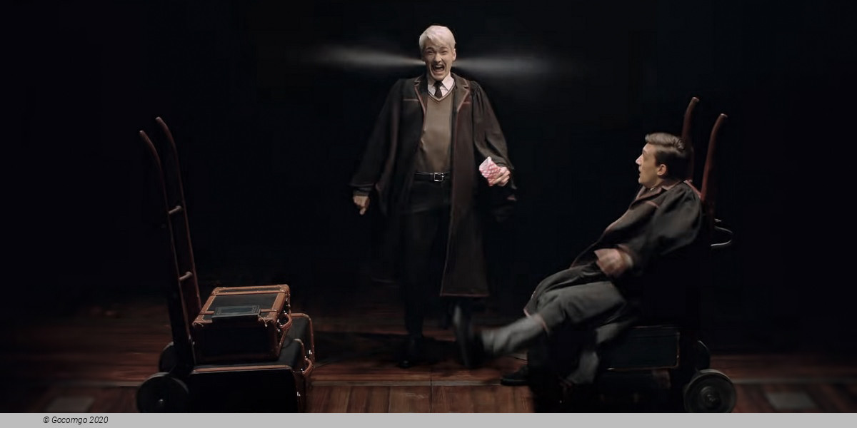 Scene 10 from the show "Harry Potter and the Cursed Child", photo 10