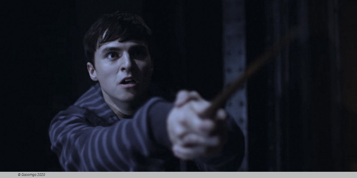 Scene 15 from the show "Harry Potter and the Cursed Child", photo 15